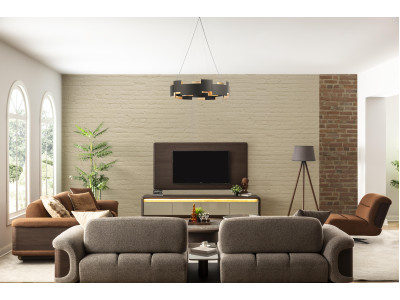 ARMIS TV UNIT
